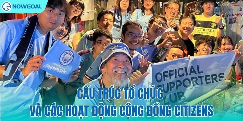 Cấu trúc và sức mạnh từ sự tổ chức bài bản