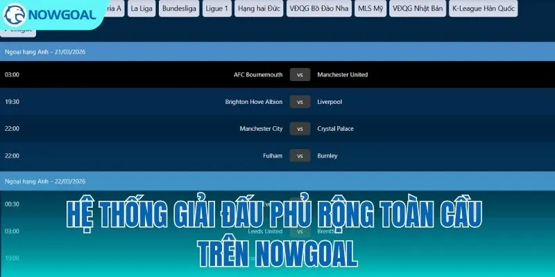 Theo dõi mọi giải đấu từ phong trào đến đỉnh cao